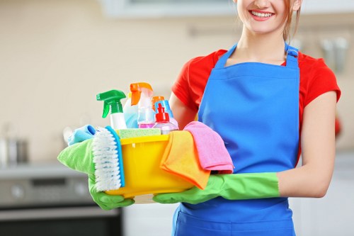 Professional carpet cleaning in an NW11 family home lounge