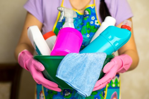 Regular cleaning service for a home in NW11