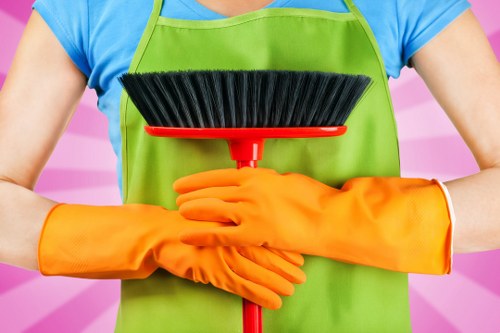 Local domestic cleaner working in an NW11 flat