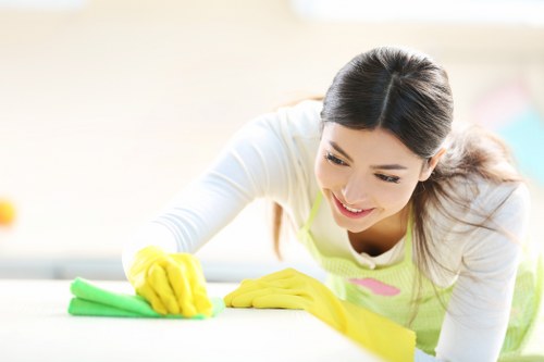 Professional cleaning of a pet-affected upholstery area in NW11