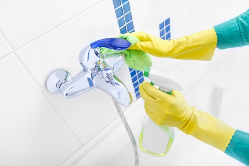 Carpet cleaning service terms and conditions document