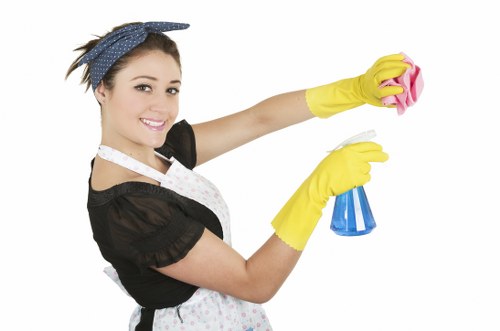 Professional cleaning for bathrooms and kitchens in NW11
